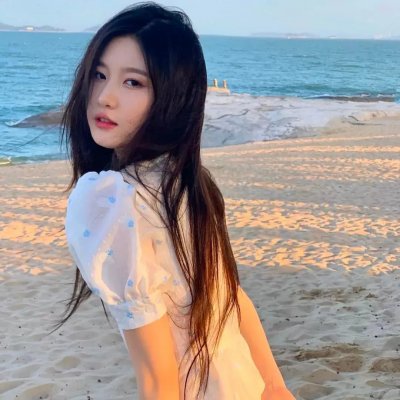 小森林2018